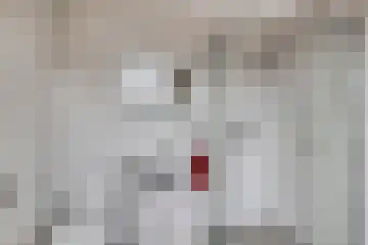 Kleinemeersterstraat 148 Sappemeer thumbnail 23