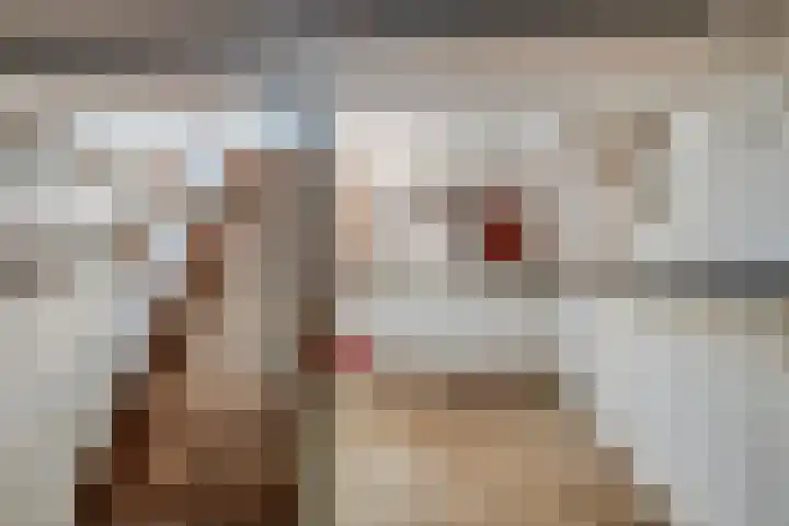 Kleinemeersterstraat 148 Sappemeer thumbnail 28