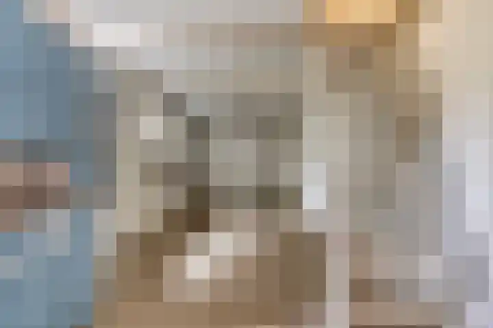 Kleinemeersterstraat 148 Sappemeer thumbnail 31