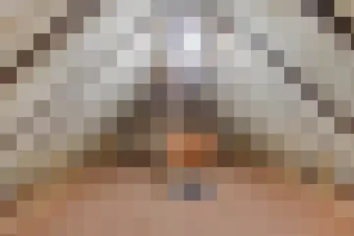 Kleinemeersterstraat 148 Sappemeer thumbnail 32