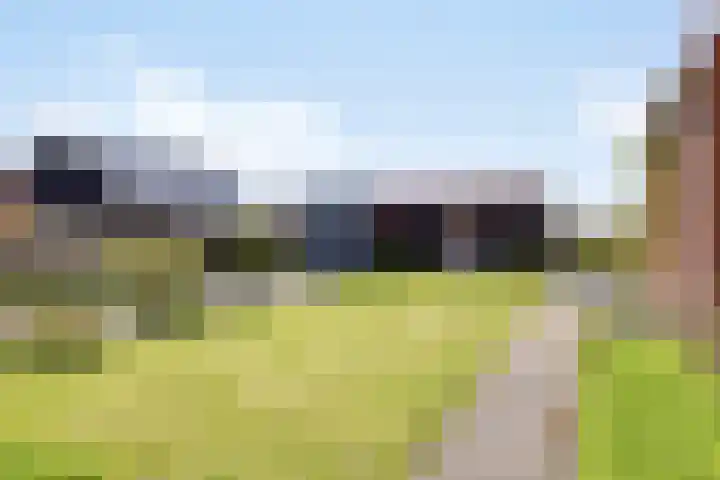 Kleinemeersterstraat 148 Sappemeer thumbnail 44