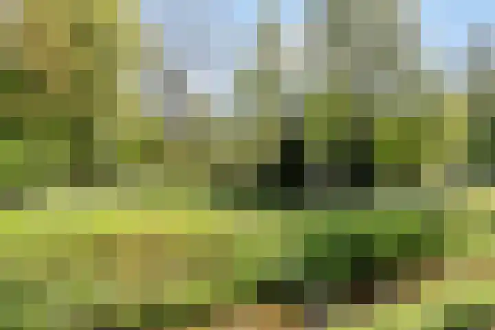 Kleinemeersterstraat 148 Sappemeer thumbnail 49