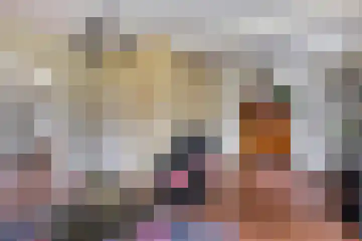 Kleinemeersterstraat 148 Sappemeer thumbnail 9
