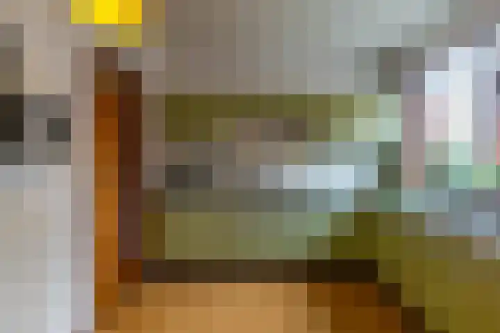 Kleinemeersterstraat 151 Sappemeer thumbnail 18