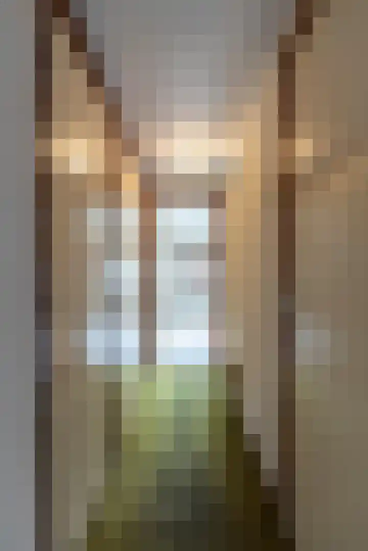 Kleinemeersterstraat 151 Sappemeer thumbnail 24