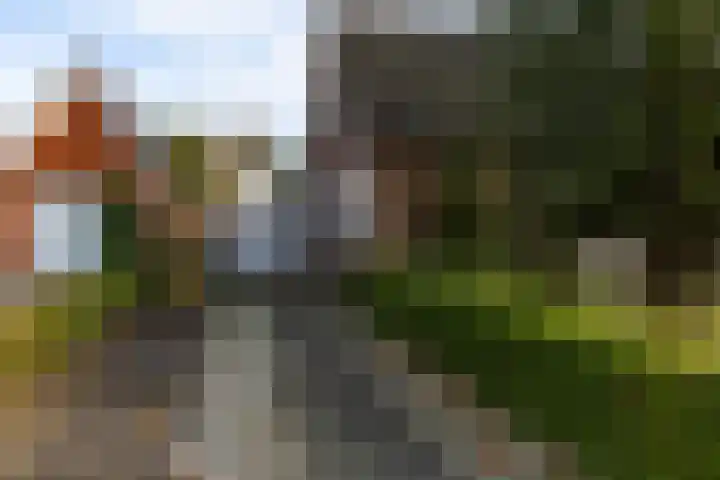 Kleinemeersterstraat 151 Sappemeer thumbnail 32