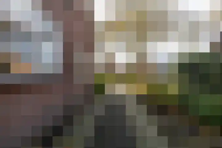 Kleinemeersterstraat 151 Sappemeer thumbnail 35