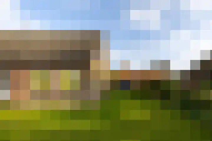 Kleinemeersterstraat 151 Sappemeer thumbnail 36