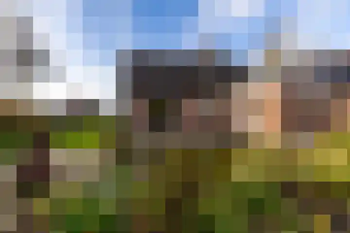 Kleinemeersterstraat 151 Sappemeer thumbnail 39