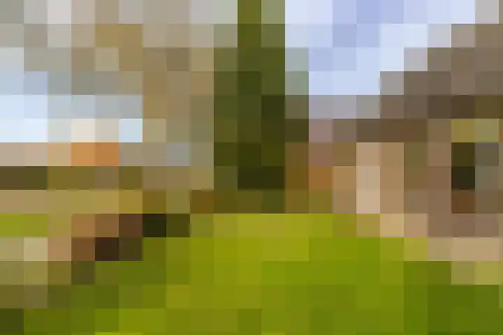 Kleinemeersterstraat 151 Sappemeer thumbnail 4