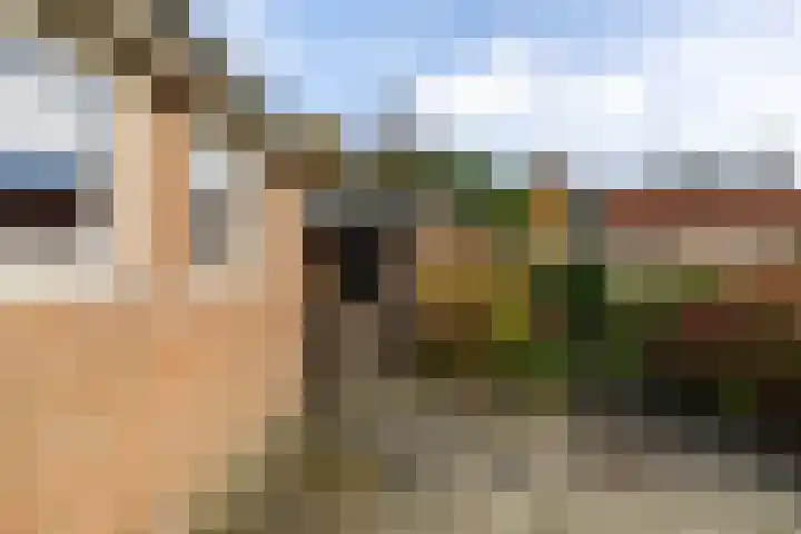 Kleinemeersterstraat 151 Sappemeer thumbnail 41
