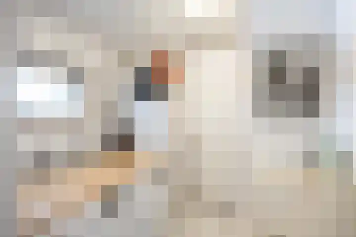 Kleinemeersterstraat 42 Sappemeer thumbnail 22