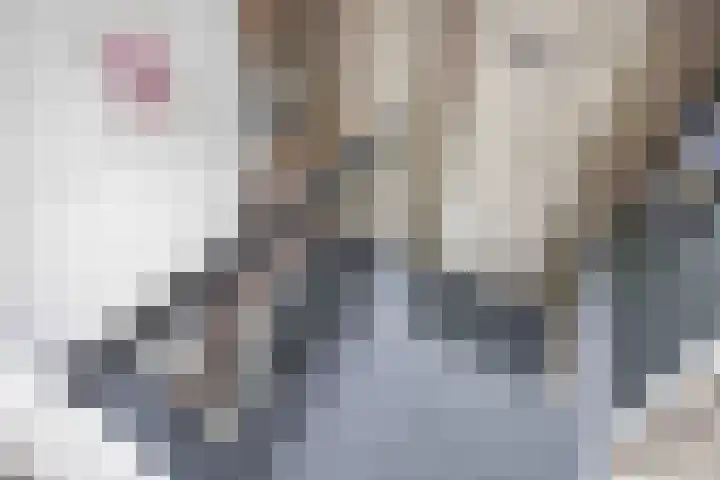 Kleinemeersterstraat 42 Sappemeer thumbnail 28