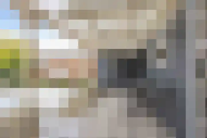 Kleinemeersterstraat 42 Sappemeer thumbnail 38