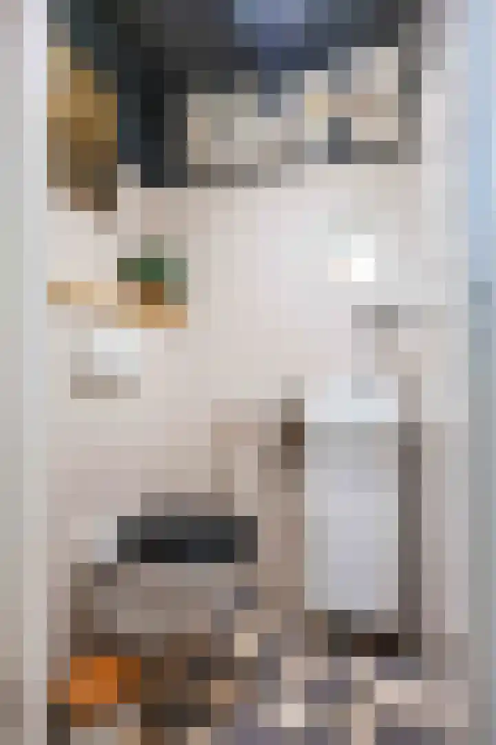 Kleinemeersterstraat 78 Sappemeer thumbnail 12