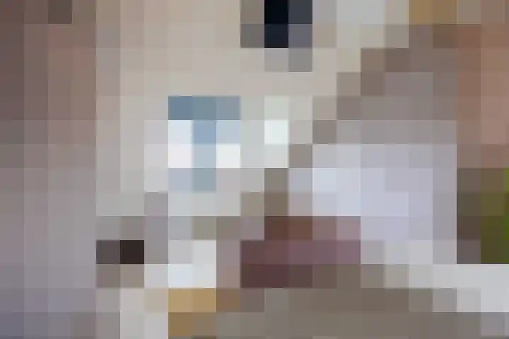 Kleinemeersterstraat 78 Sappemeer thumbnail 35