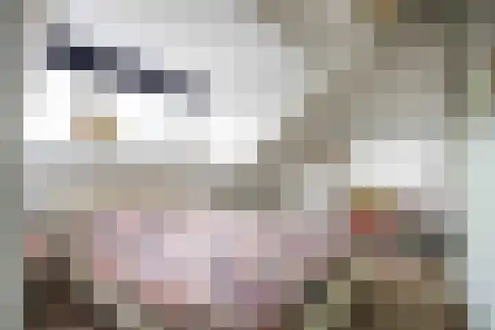 Kleinemeersterstraat 78 Sappemeer thumbnail 36