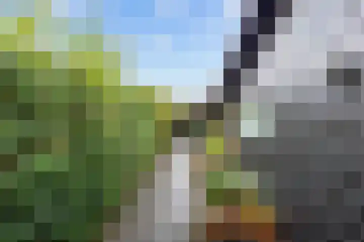Kleinemeersterstraat 78 Sappemeer thumbnail 38