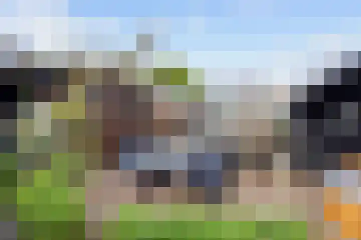 Kleinemeersterstraat 78 Sappemeer thumbnail 39