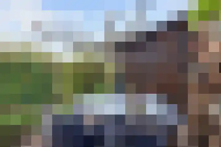 Kleinemeersterstraat 78 Sappemeer thumbnail 40