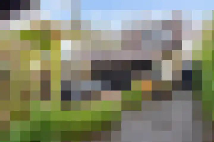 Kleinemeersterstraat 78 Sappemeer thumbnail 41