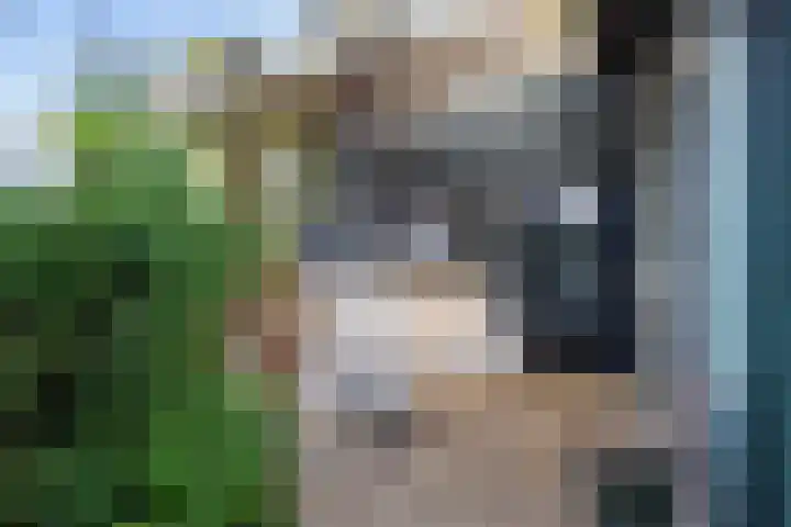 Kleinemeersterstraat 78 Sappemeer thumbnail 42