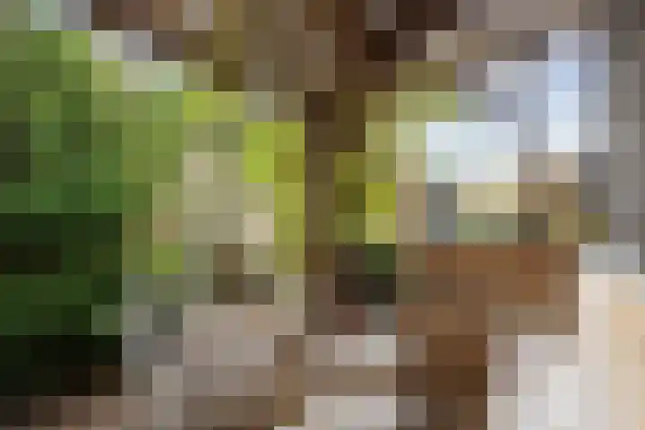 Kleinemeersterstraat 78 Sappemeer thumbnail 43