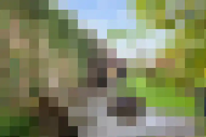 Kleinemeersterstraat 78 Sappemeer thumbnail 44