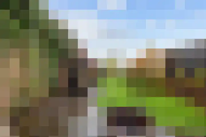 Kleinemeersterstraat 78 Sappemeer thumbnail 45
