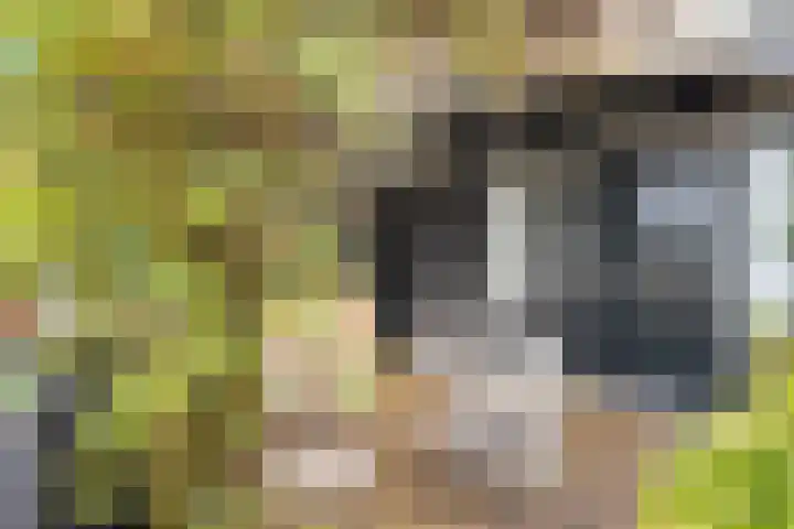Kleinemeersterstraat 78 Sappemeer thumbnail 46
