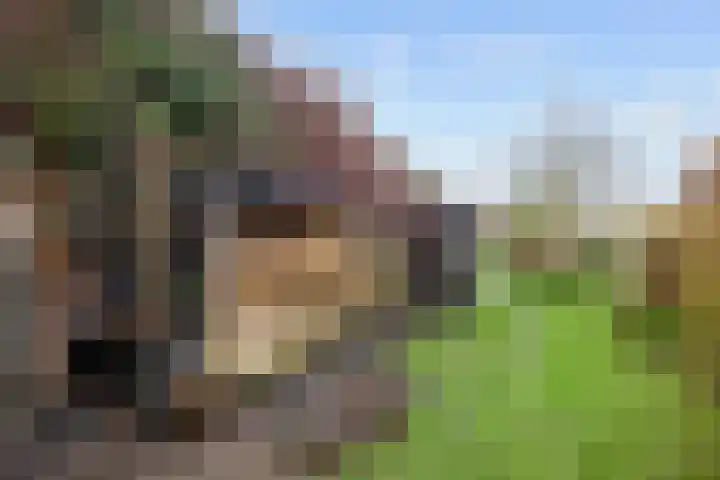 Kleinemeersterstraat 78 Sappemeer thumbnail 47