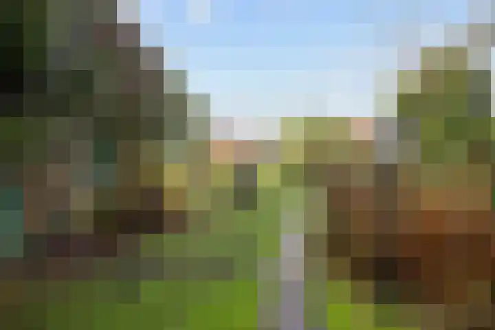 Kleinemeersterstraat 78 Sappemeer thumbnail 48