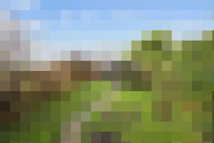 Kleinemeersterstraat 78 Sappemeer thumbnail 49