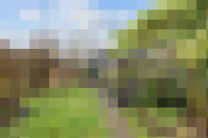 Kleinemeersterstraat 78 Sappemeer thumbnail 50