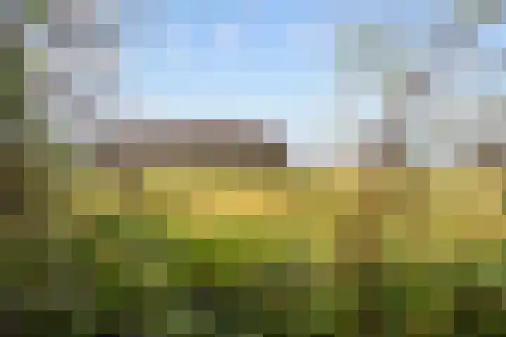 Kleinemeersterstraat 78 Sappemeer thumbnail 51
