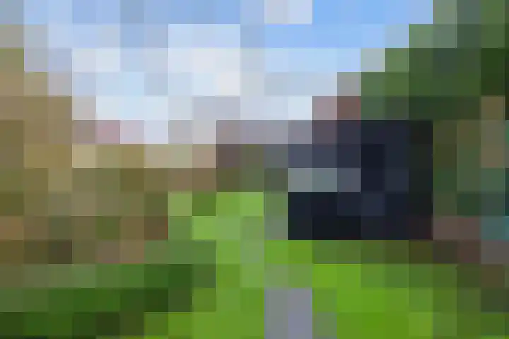Kleinemeersterstraat 78 Sappemeer thumbnail 52