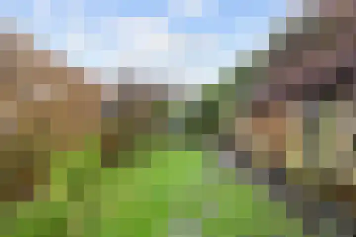 Kleinemeersterstraat 78 Sappemeer thumbnail 53