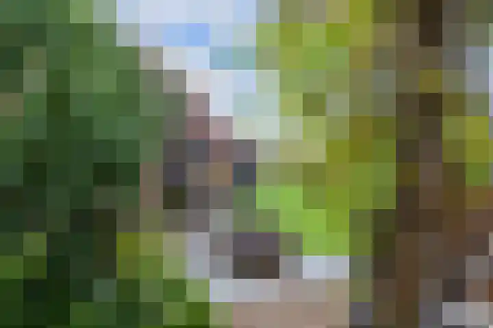 Kleinemeersterstraat 78 Sappemeer thumbnail 55