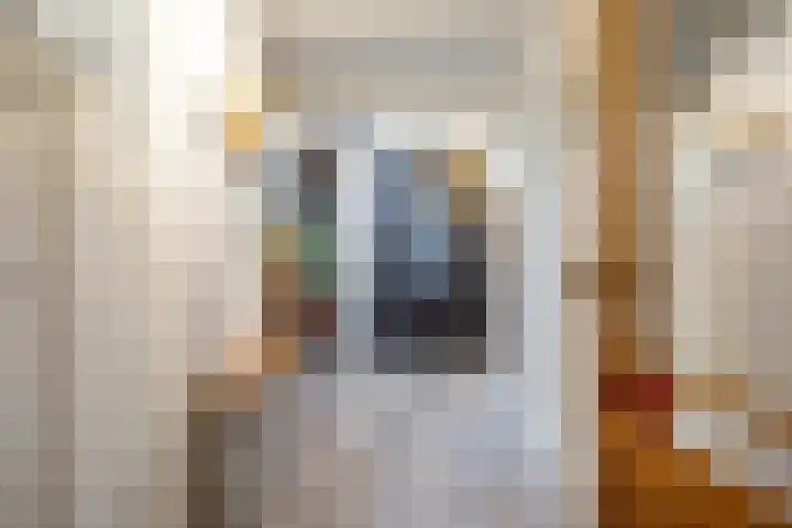 Kleinemeersterstraat 78 Sappemeer thumbnail 9
