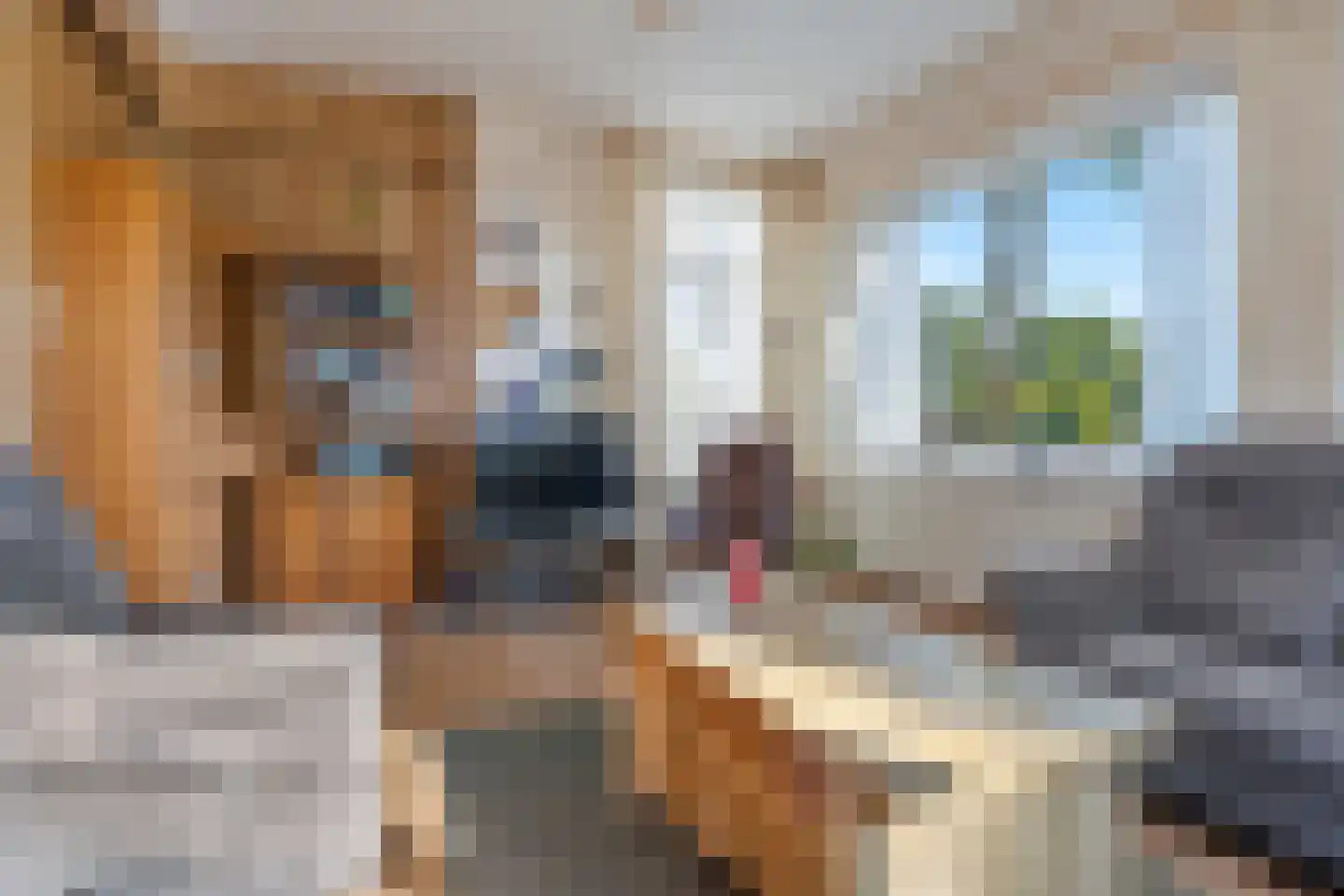 Kleinemeersterstraat 80 Sappemeer thumbnail 10