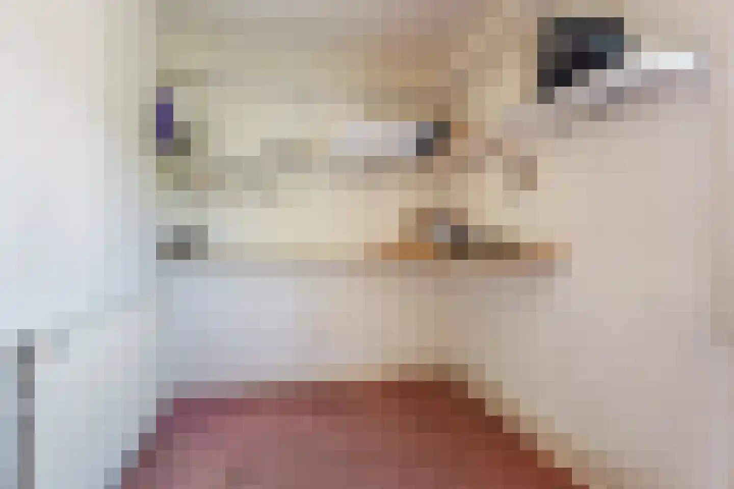 Kleinemeersterstraat 80 Sappemeer thumbnail 19