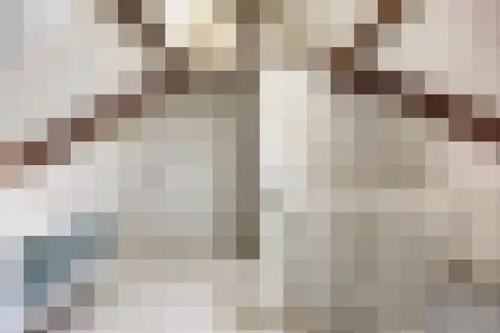 Kleinestraat 22 Drunen thumbnail 32