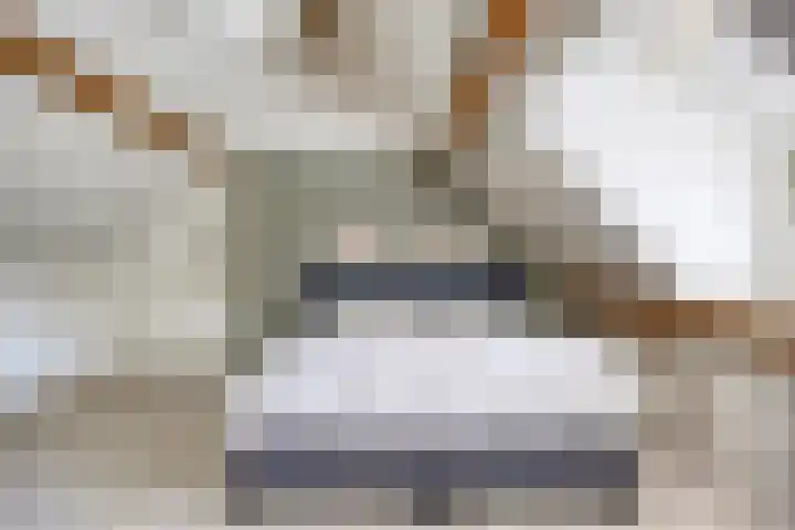 Kleinestraat 22 Drunen thumbnail 33