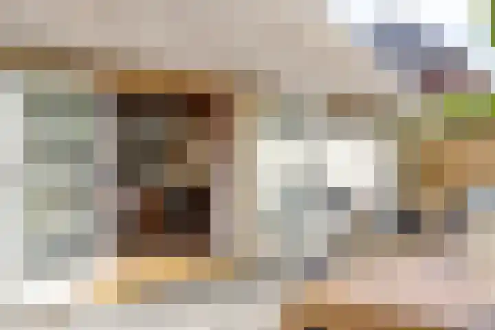 Kleinestraat 22 Drunen thumbnail 47