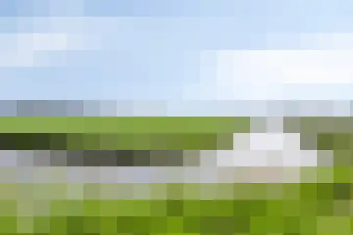Kleinestraat 22 Drunen thumbnail 54