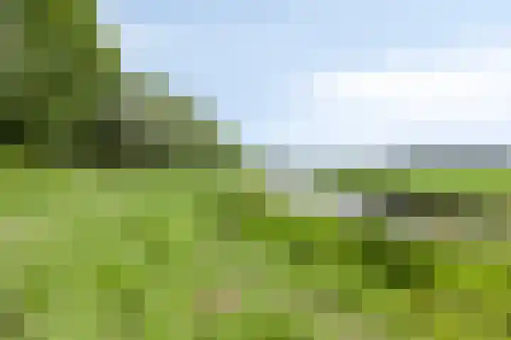 Kleinestraat 22 Drunen thumbnail 55
