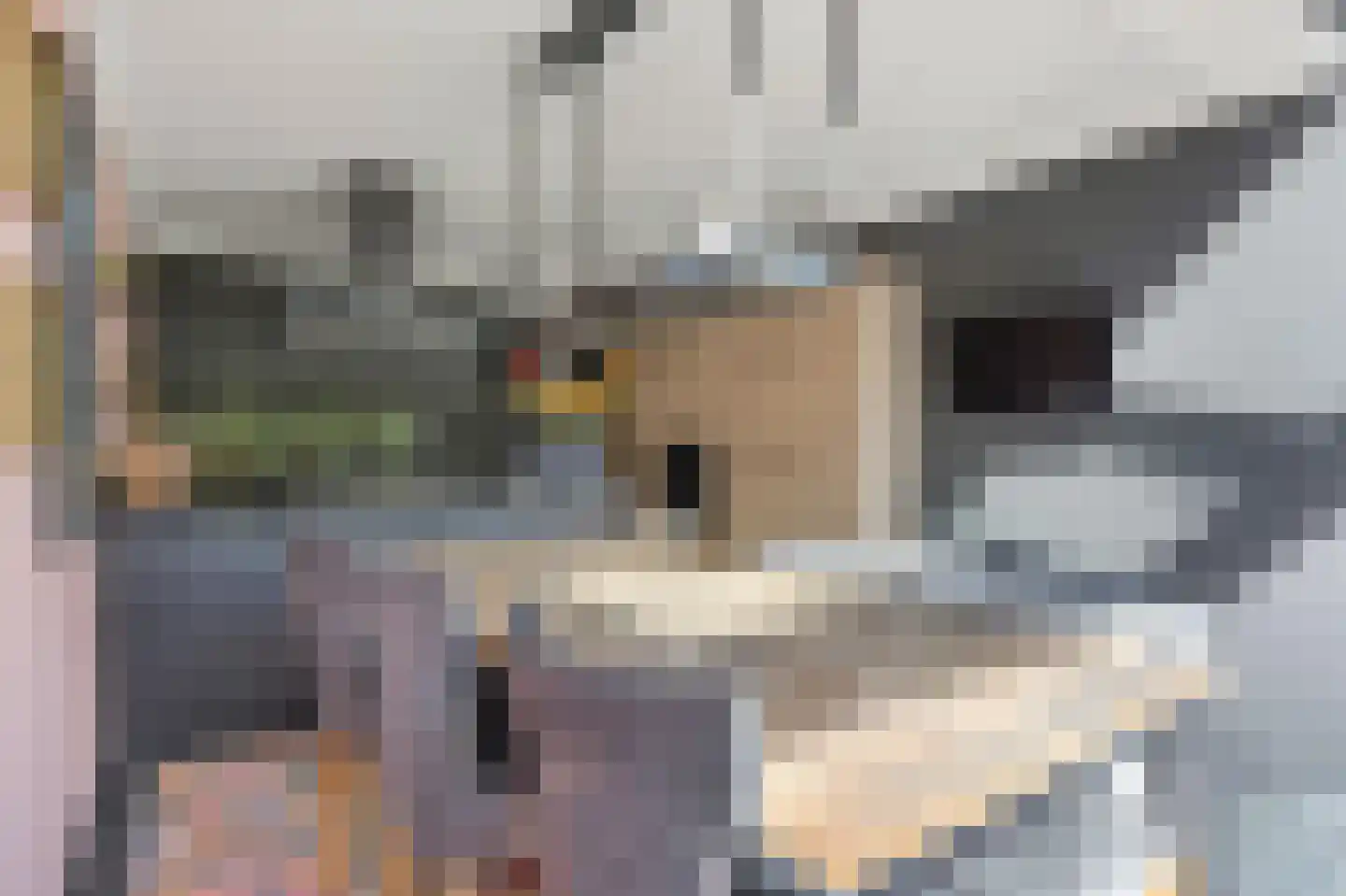 Kleinestraat 23 Drunen thumbnail 24