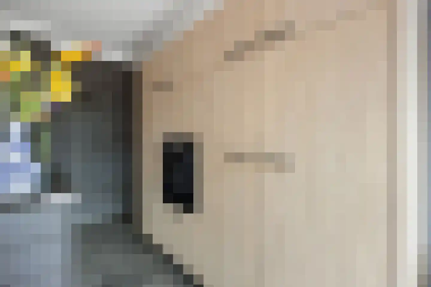 Kleinestraat 23 Drunen thumbnail 29