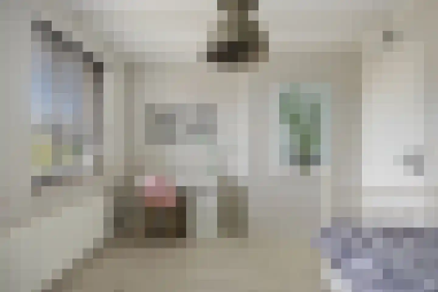 Kleinestraat 23 Drunen thumbnail 37