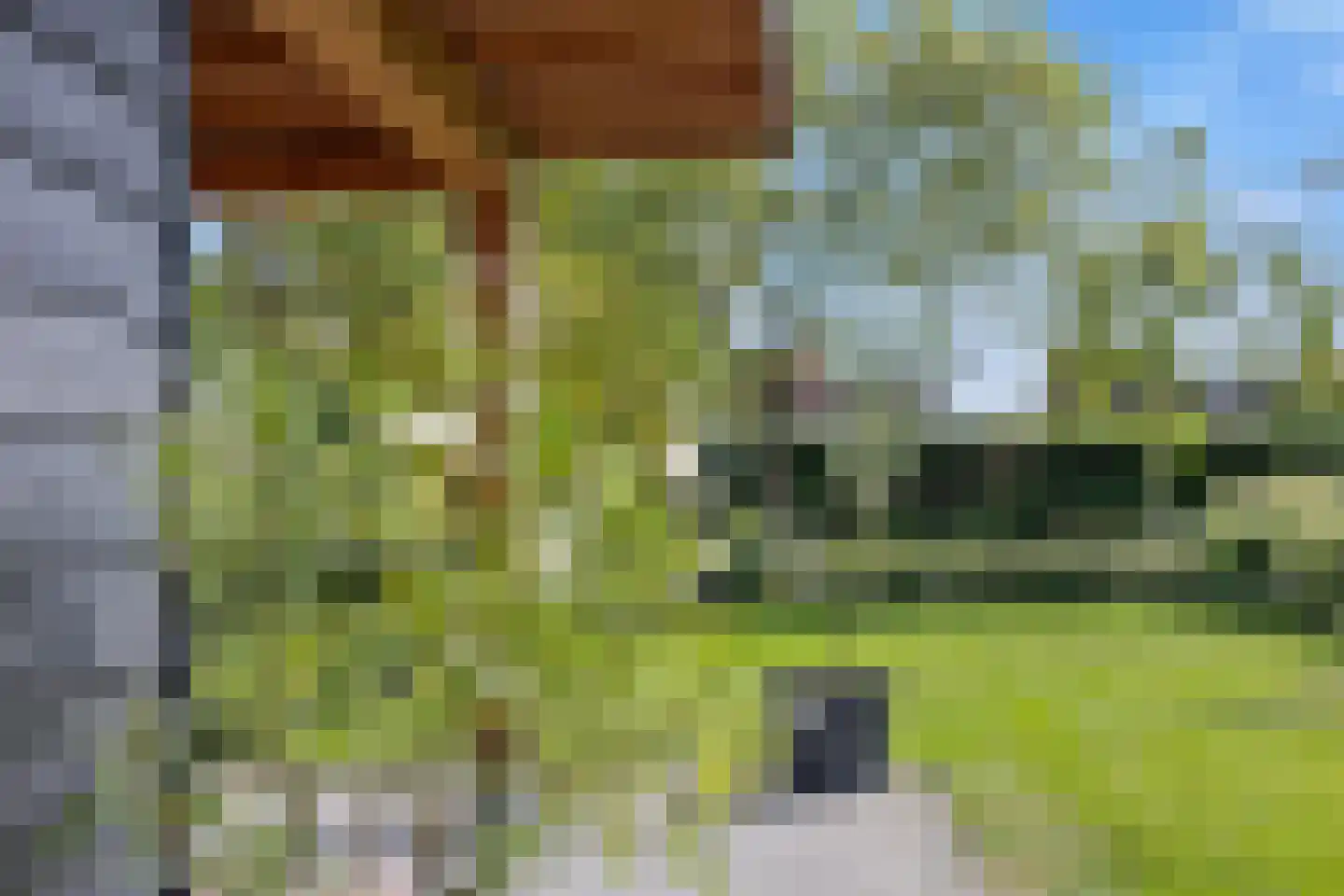 Kleinestraat 23 Drunen thumbnail 57